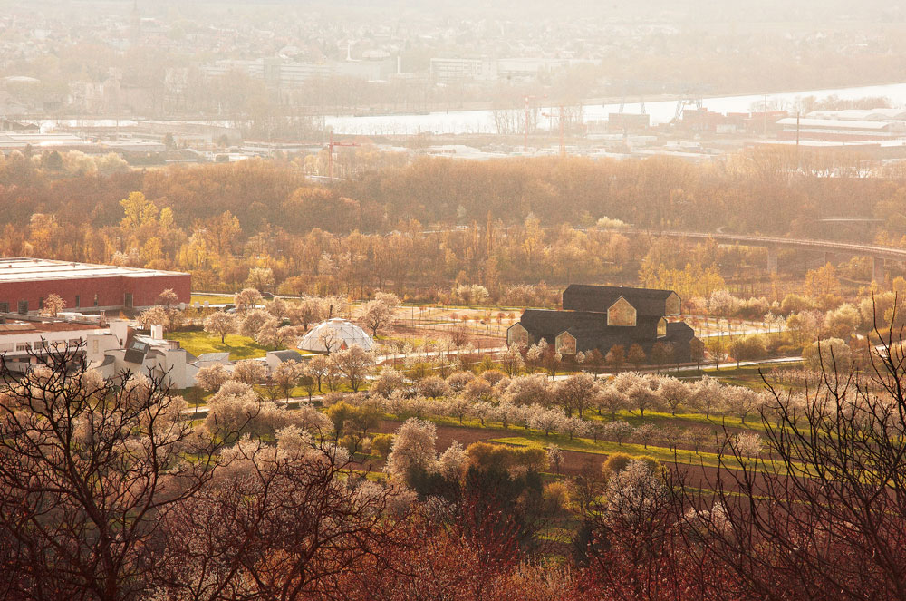 vitra-campus-architekturprojekte-vitra-haus.jpg